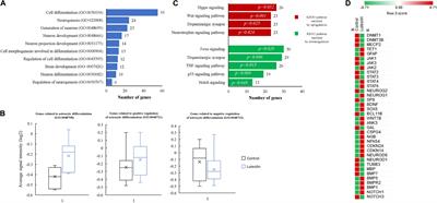 Luteolin Modulates Neural Stem Cells Fate Determination: In vitro Study on Human Neural Stem Cells, and in vivo Study on LPS-Induced Depression Mice Model